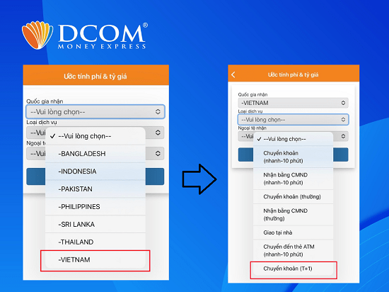 Ở phần “Quốc gia nhận”, bấm chọn Việt Nam. Phần “Loại dịch vụ”, bấm chọn “Chuyển khoản (T+1)”.